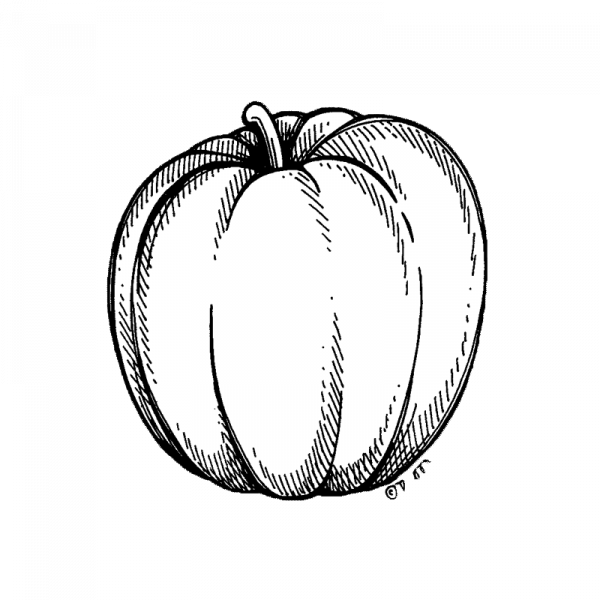 1022_kurpitsa_big_max