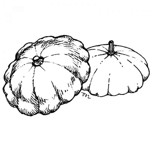 1111_kesakurpitsa_ufo