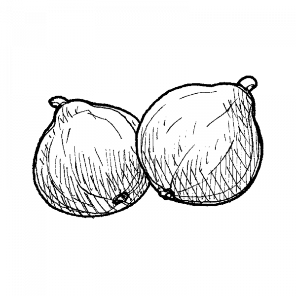 1133_kurpitsa_redkuri