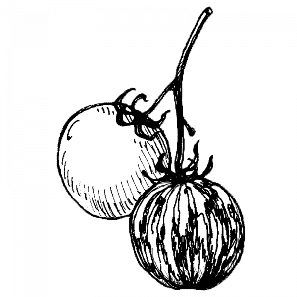 1719_tomaatti_tigerella