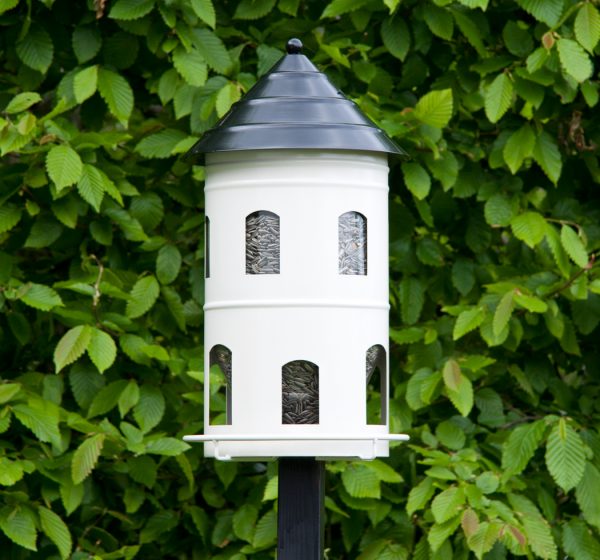 7967_linnunsyotto_valk