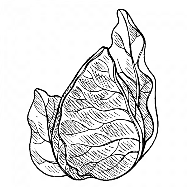 1150_1442_suippokaali-kalibos