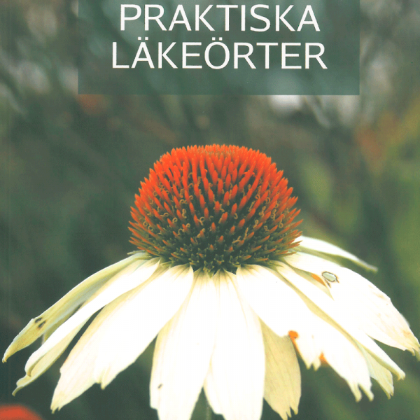 6905_praktiska