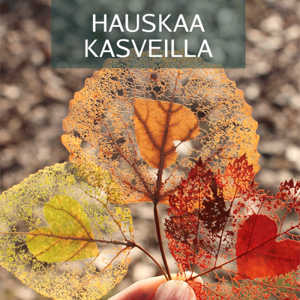 6987_hauskaa-kasv