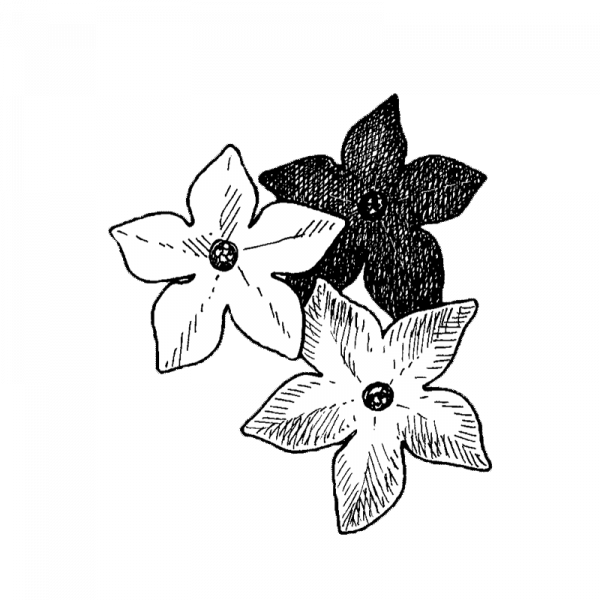 3097_koristetupakka-perfume-mix