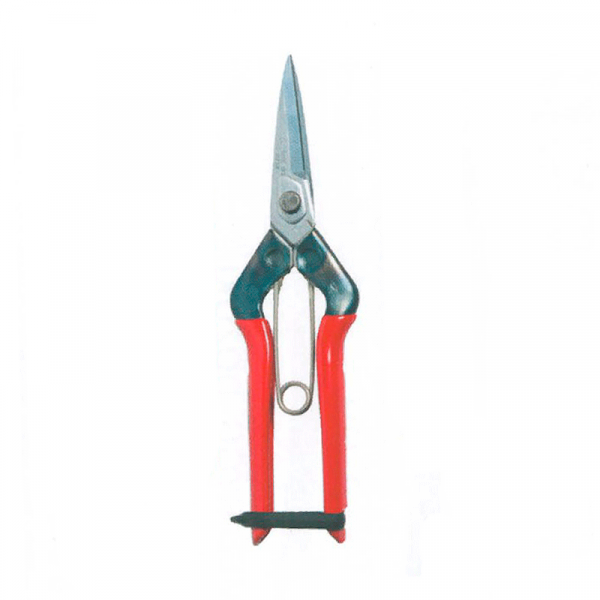 7172_kukkasaksi_chikamasa