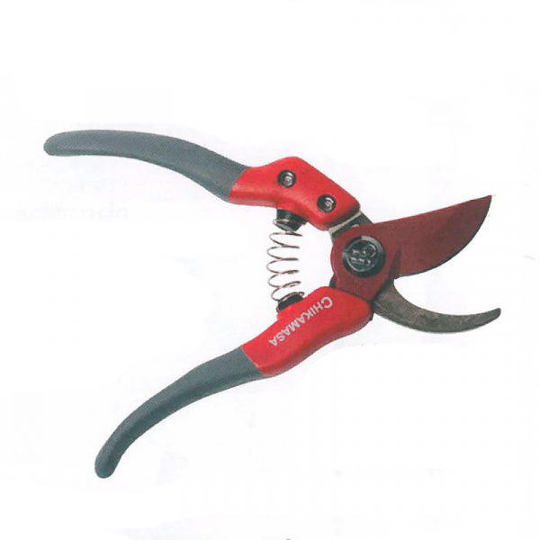 7174_sekatoori_chikamasa