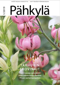 Pähkylä 1_19 kansi