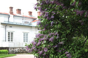 IMG_2076 2.JPGTaimitori Tynys