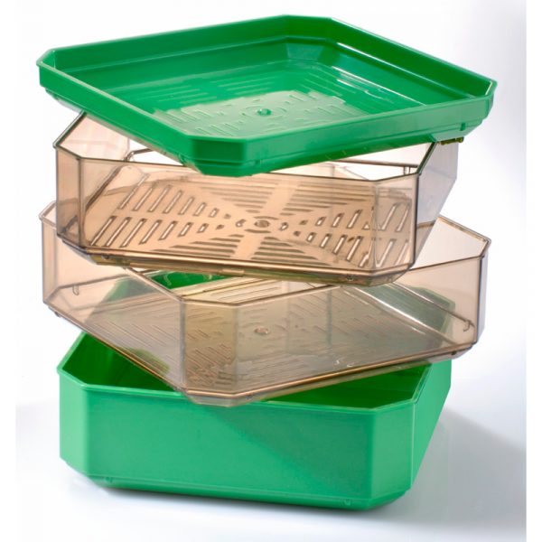 8728_germline_idatys2