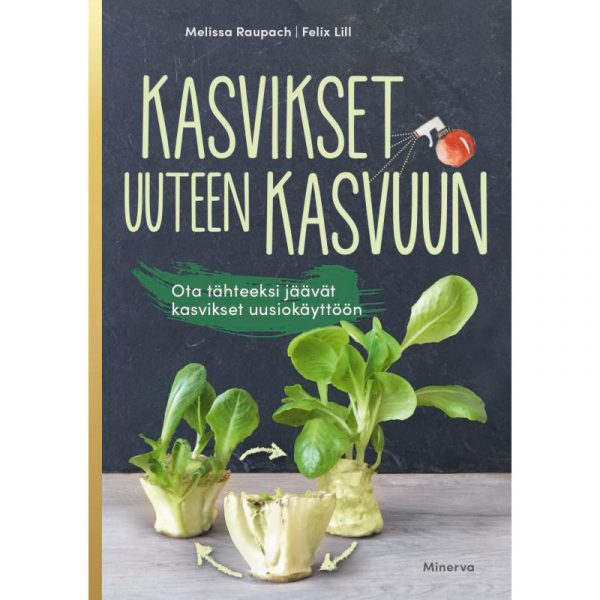 6561_kasvikset_uuteen_w