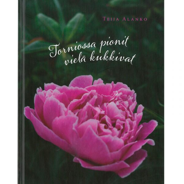 6023_torniossa_pionit