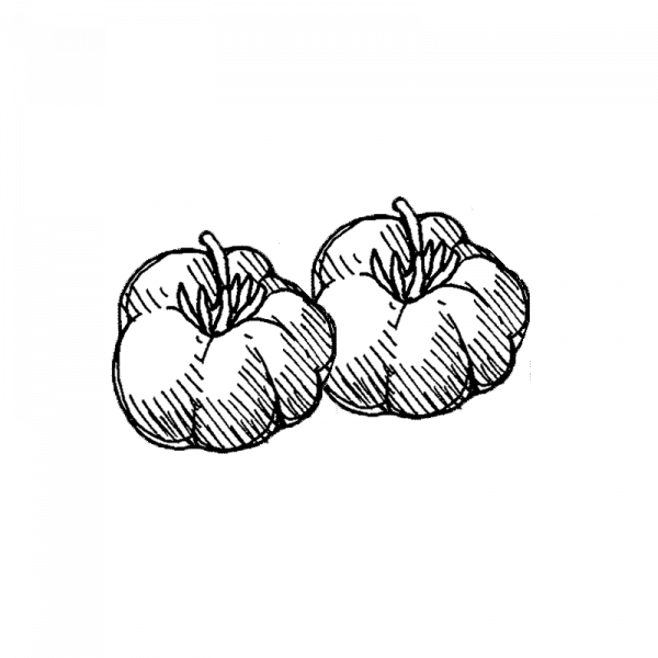 1012_tomaatti_voyage