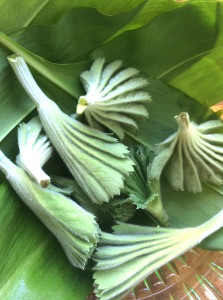 OT-poimulehti-223×300